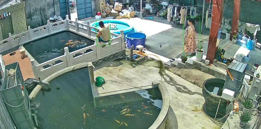 皇冠信用盘如何开户_新乡一男子喂鱼忘送娃上课被妻子踹进鱼池：妻子怀孕脾气有时候控制不住皇冠信用盘如何开户，互相道了歉