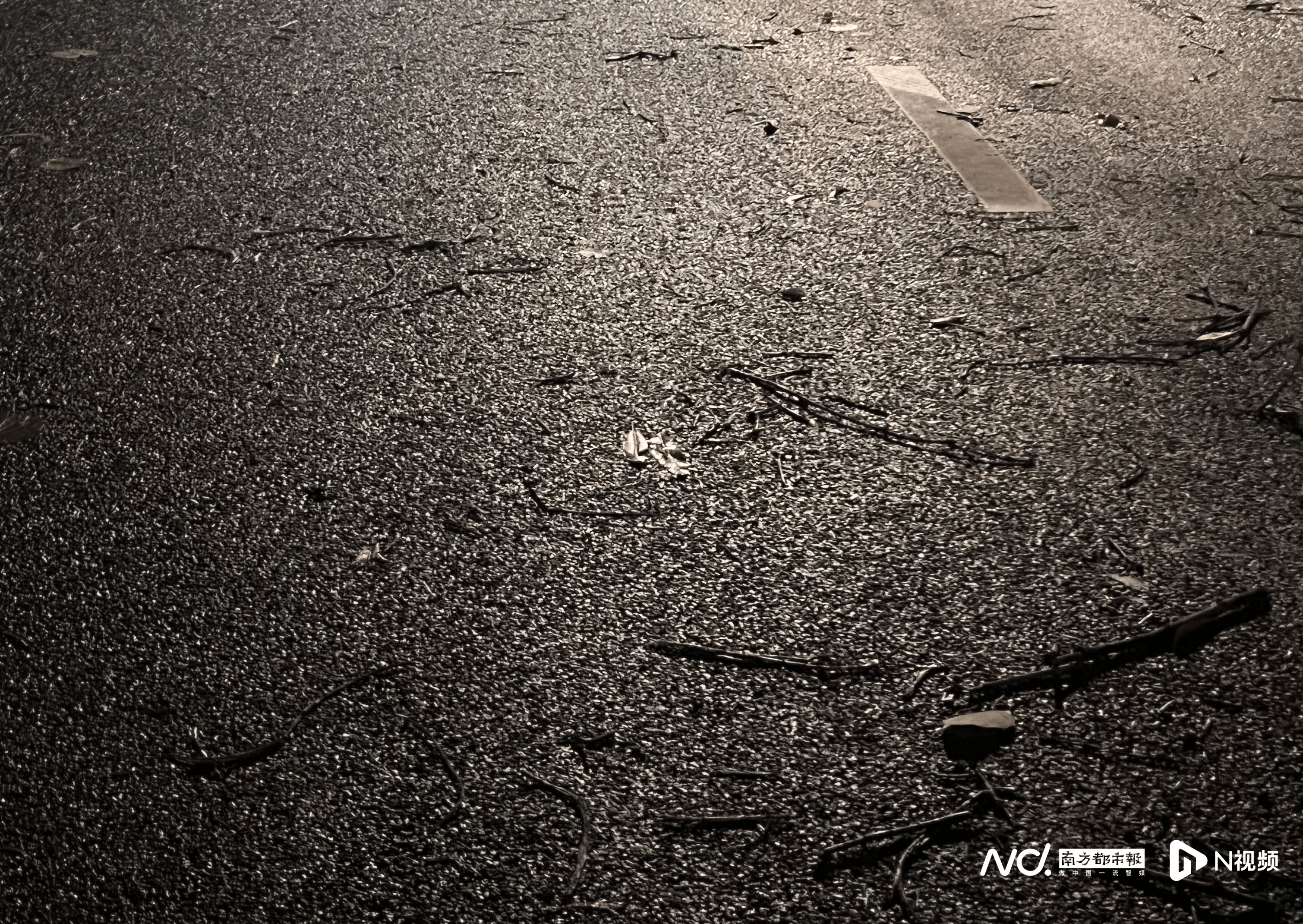 如何申请到皇冠信用_佛山官宣解除“五停”后两小时内如何申请到皇冠信用，我们在街头看见