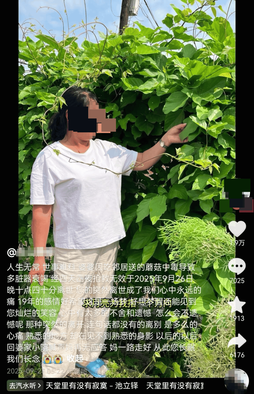 皇冠信用盘登2代理_网红发文悼念婆婆：吃了邻居送的蘑菇中毒皇冠信用盘登2代理，抢救四天四夜死亡！这些蘑菇避毒原则可能是陷阱→